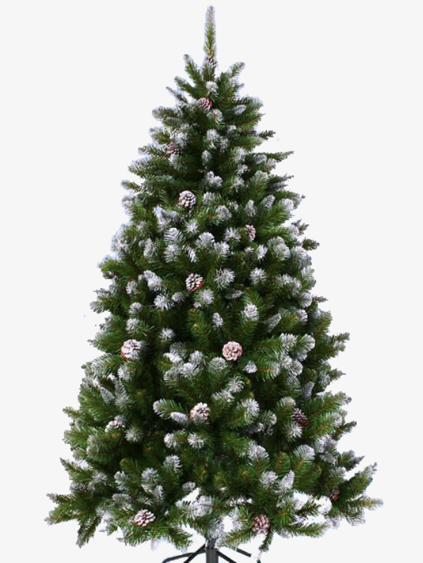 绿植花草花卉图片免抠