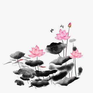 夏季水墨画荷叶荷花免抠