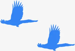 蓝色飞鸟剪影海报背景七夕情人节