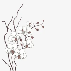 手绘白色梅花免抠