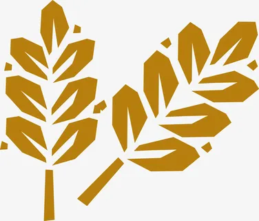 简易麦子矢量手绘图免抠