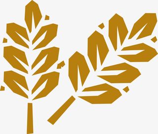 简易麦子矢量手绘图免抠