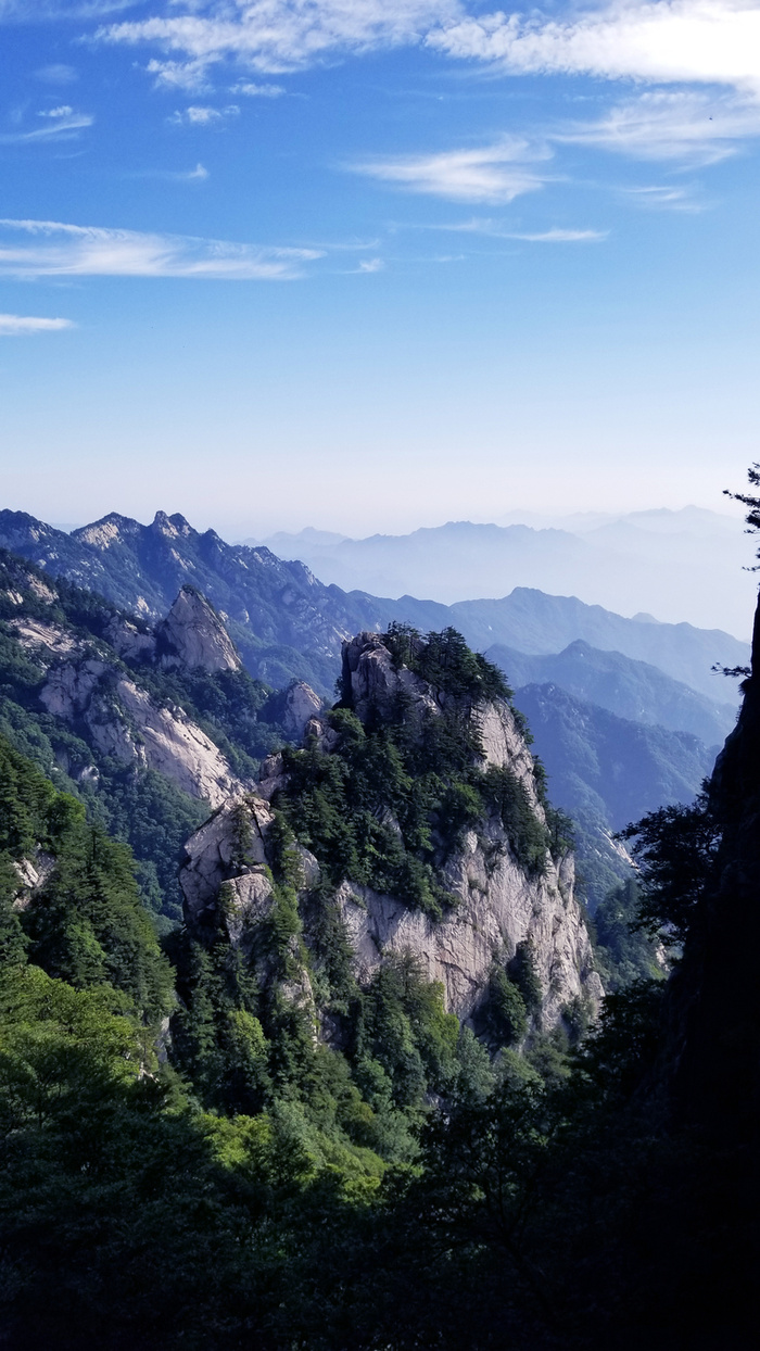 春天爬山绿树松树蓝天高清