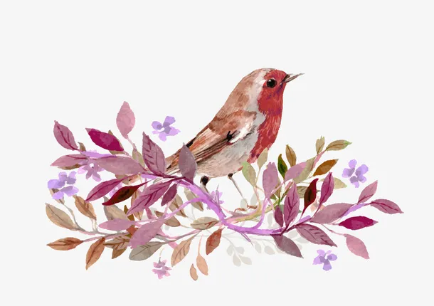 粉红 小鸟 树枝 装饰免抠