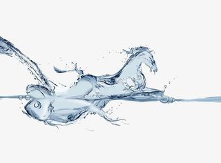 设计水上的马免抠