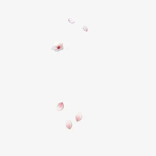 漫天尽下花瓣雨免抠