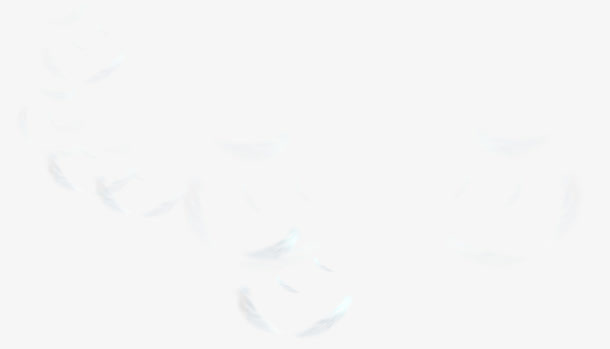 羽毛元素免抠