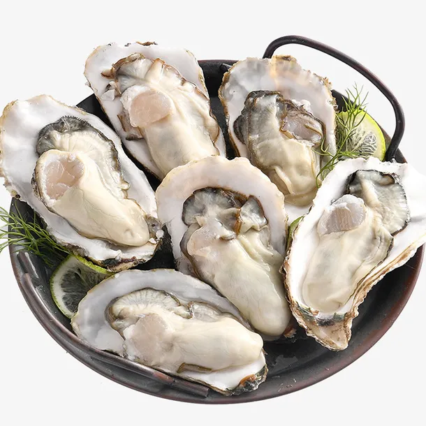 野生大生蚝肉多免抠