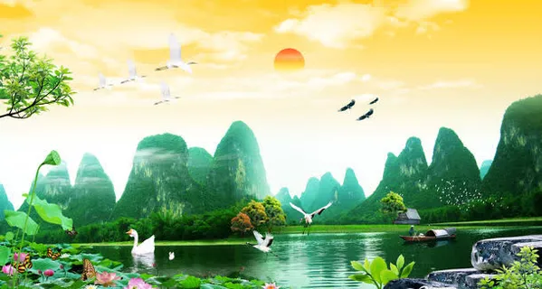 荷花主题背景素材