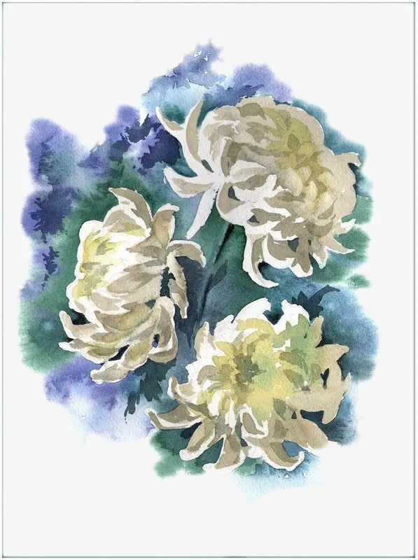 手绘白色菊花免抠素材免抠