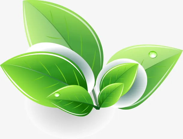 绿色树叶 小图标 辅助元素免抠