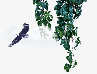 装饰树枝树叶免抠