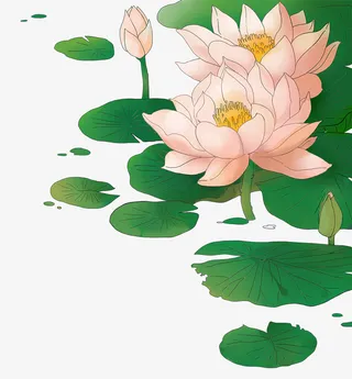 手绘水墨水彩写实插图荷塘荷花荷免抠