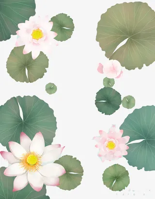 清新文艺荷花背景免抠