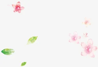 水彩绘粉色花朵树叶装饰背景