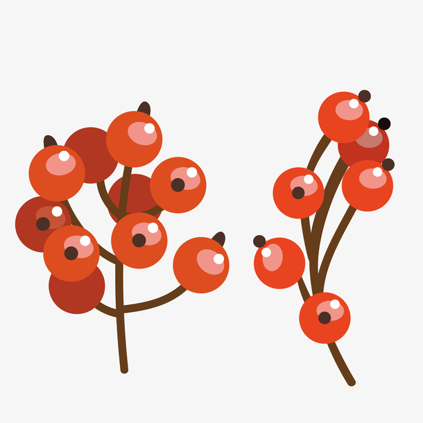 树枝果子免抠