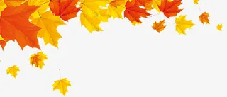 秋天，枫叶，黄色，红色免抠