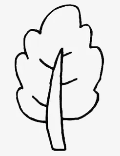 树 简笔画免抠
