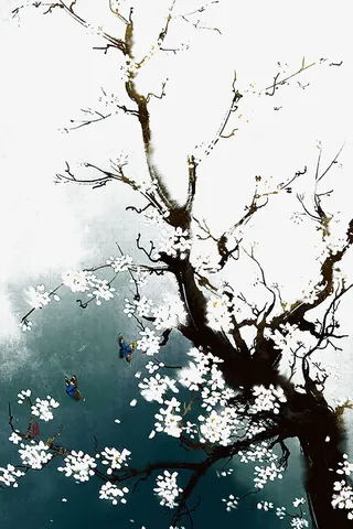 盛开的梅花免抠