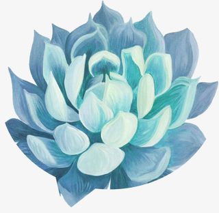 手绘蓝色多肉免抠