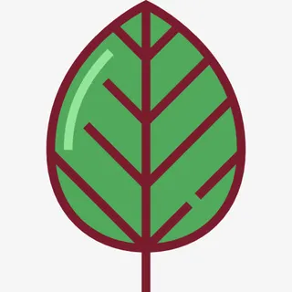 叶图标免抠 叶图标免抠