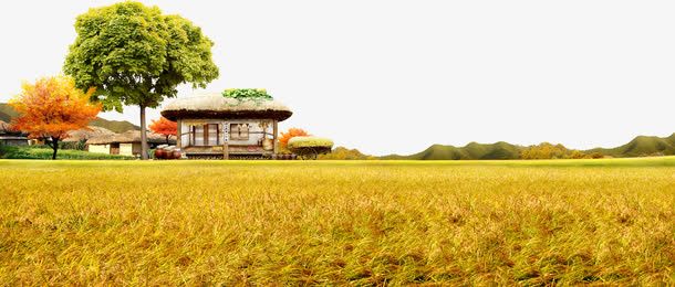 农村 小树免抠