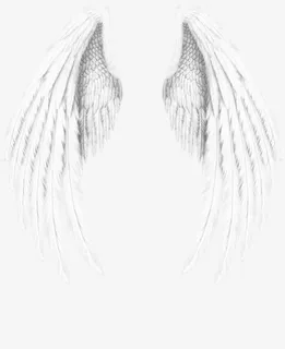 翅膀图案素材免抠