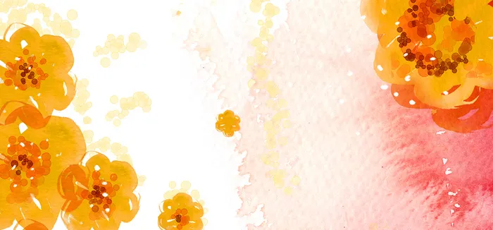 花瓣手绘橘色banner背景高清