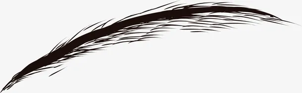 眉毛创意笔刷素材图免抠