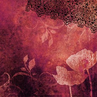 红色背景与花朵