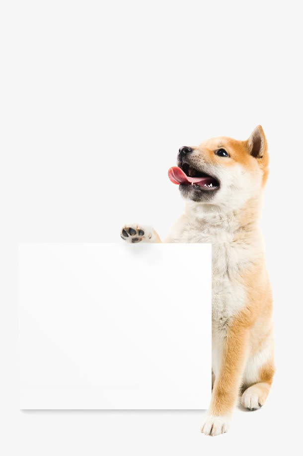拿着画板的狗免抠
