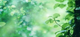 女装背景图高清