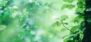 女装背景图高清