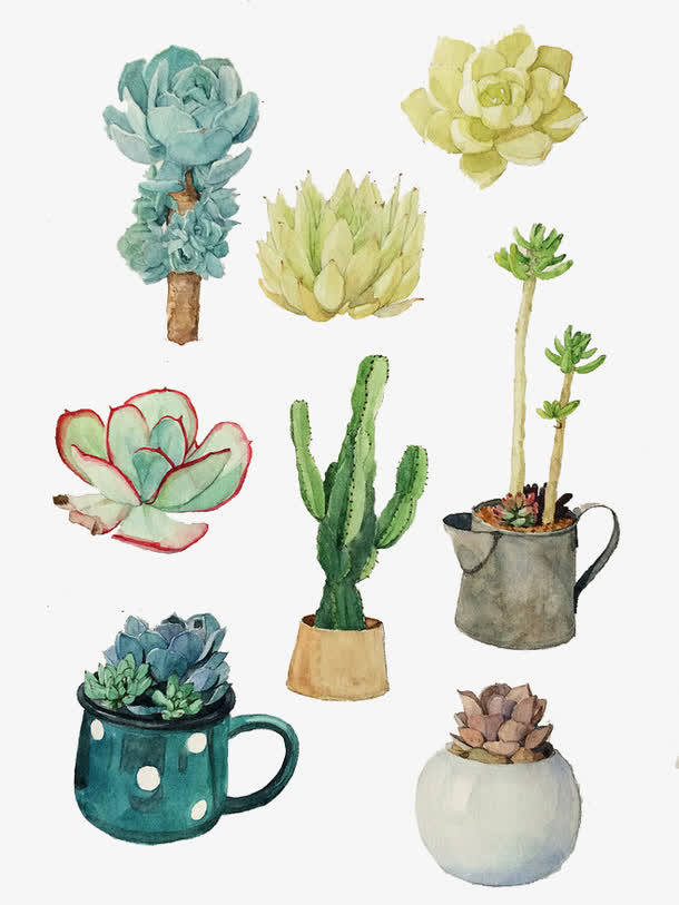 植物免抠