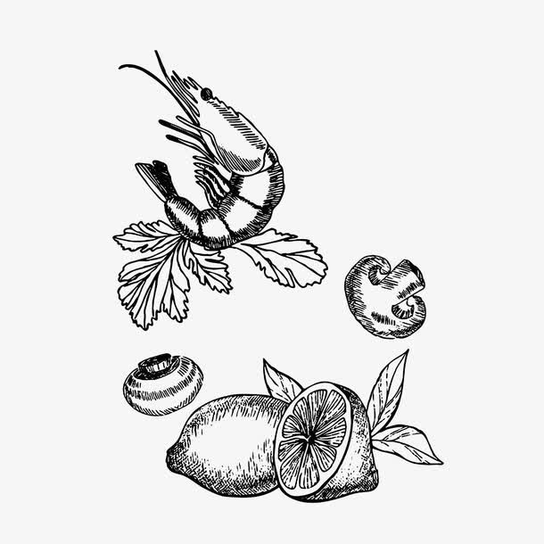 手绘素描虾柠檬蘑菇素材免抠