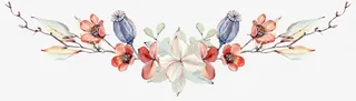 手绘水彩花草装饰免抠