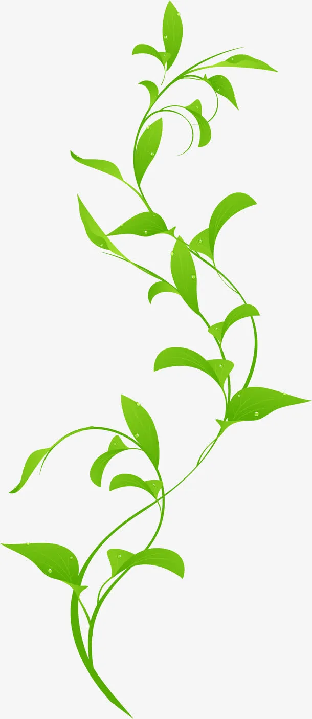 清新水珠绿藤免抠动植物植物元素