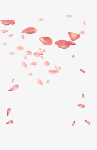 情人节玫瑰花瓣免抠