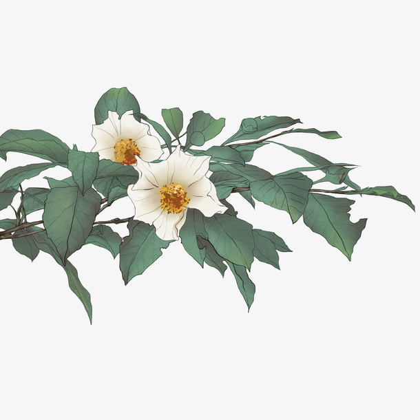 清新小花卡通插画5免抠