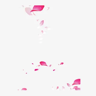漂浮花瓣免抠