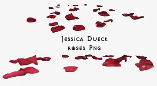 红色花瓣花朵满地花瓣免抠