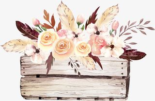 花朵花瓣木板装饰素材免抠