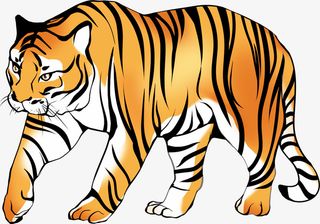 国风行走老虎免抠