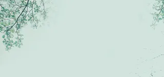 淘宝简约banner高清