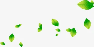 渐变飞舞漂浮绿叶免抠