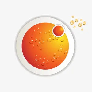 橙子圆盘免抠