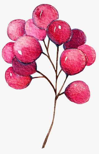 手绘水果图案免抠