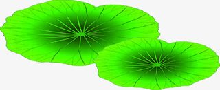 扁平手绘绿色的质感荷叶免抠