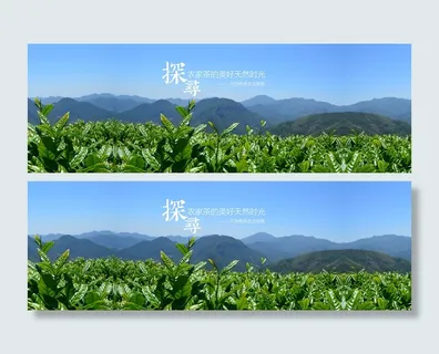 茶叶全屏促销海报背景高清