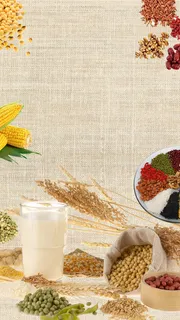 五谷养生宣传海报H5背景psd分层下载高清